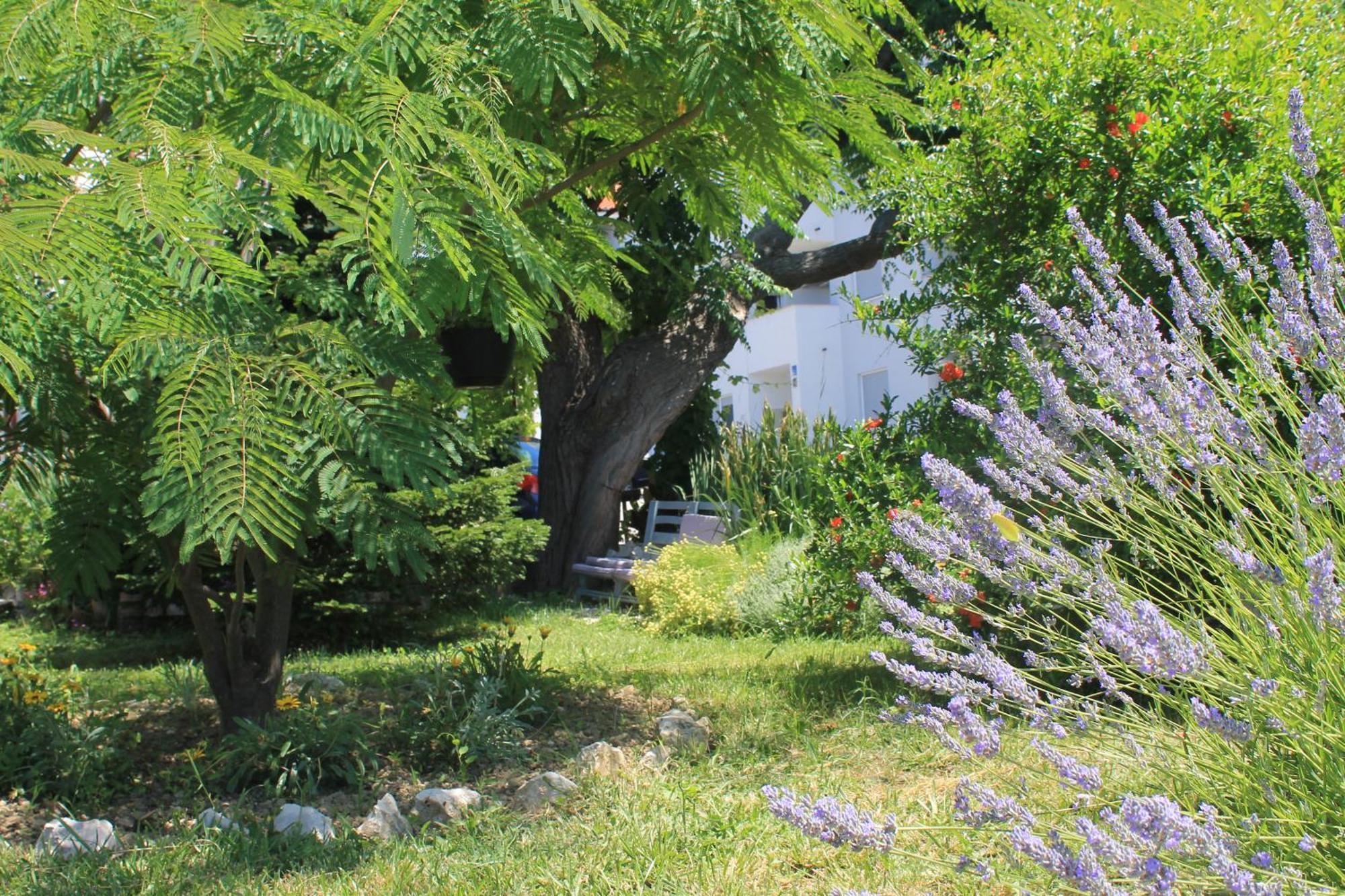 Apartments 501 - Rab Island Oasis Retreat Supetarska Draga Exterior photo
