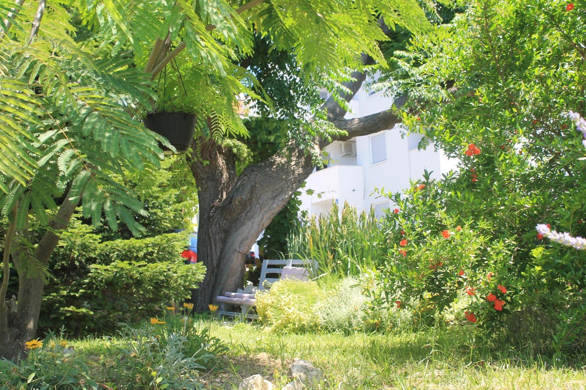Apartments 501 - Rab Island Oasis Retreat Supetarska Draga Exterior photo